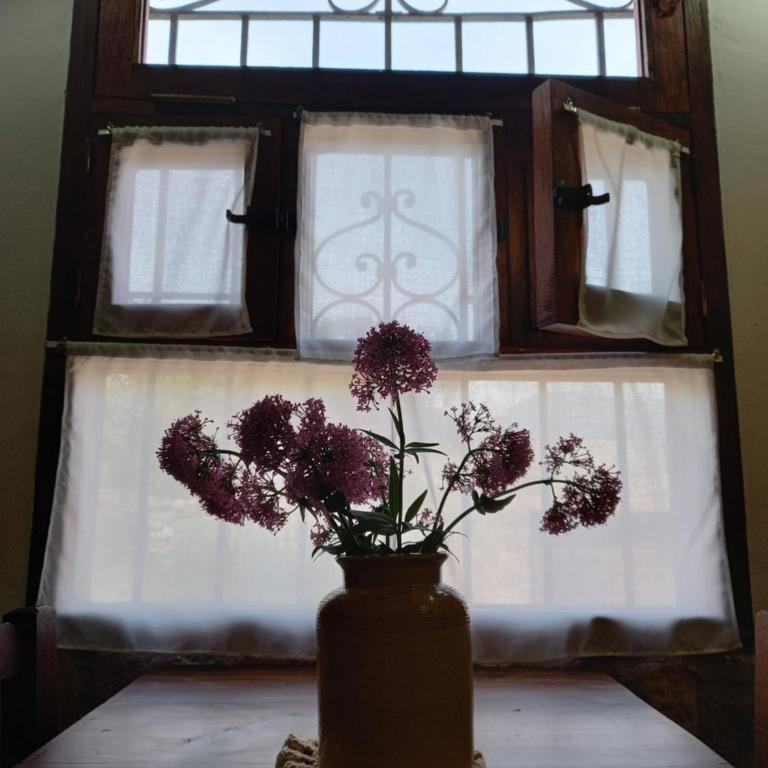 Kay Pacha - Vacation Home - 4