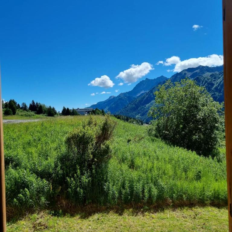 BMP APARTMENT EDELWEISS PASSO DEL TONALE - Appartamento con 2 Camere da Letto - 2