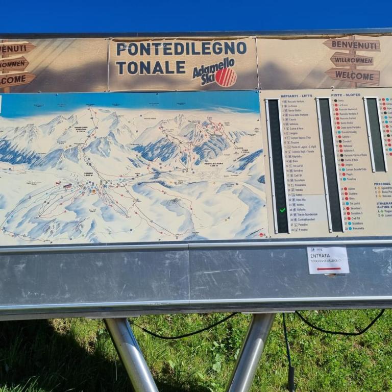BMP APARTMENT EDELWEISS PASSO DEL TONALE - Appartamento con 2 Camere da Letto - 5