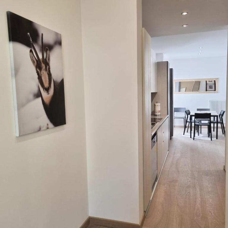 BMP APARTMENT EDELWEISS PASSO DEL TONALE - Appartamento con 2 Camere da Letto - 20
