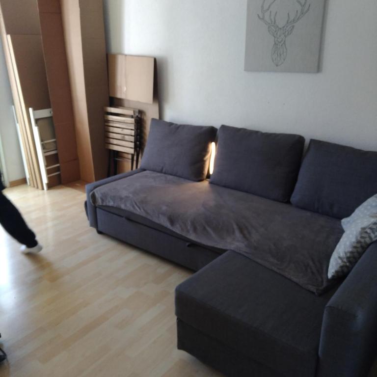 Studio appartement avec piscine, ski Porte du soleil Morgins, PS3 games, wash & bring sheets - Studio mit Schlafsofa - 4