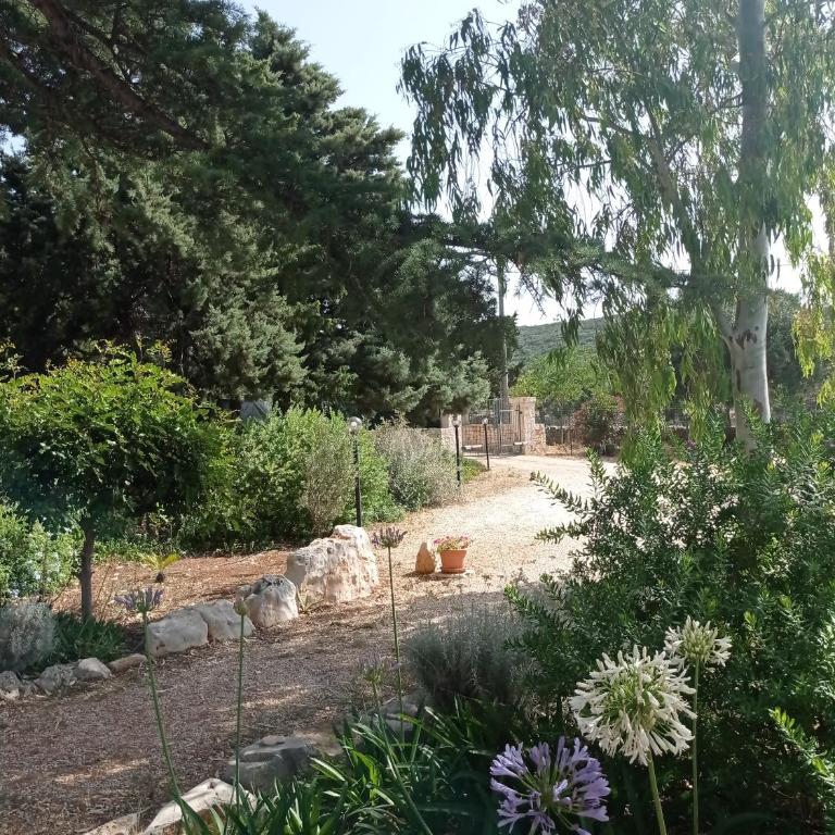 Dimora Dalia - Puglia Mia Apartments - Casa con 1 Camera da Letto - 9