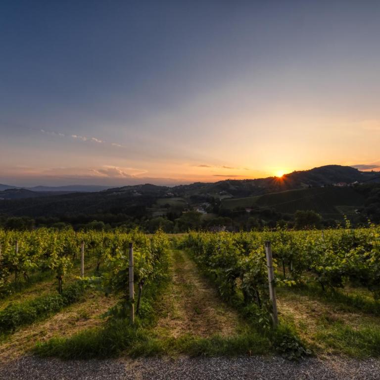 Weingut Reiterer - Chambre Double - 6