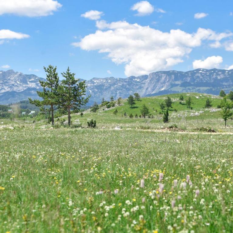 Big bear villas - Two-Bedroom Villa - 1