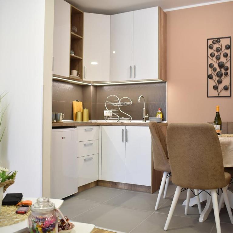 Trivić Apartmani - Studio Apartman s Balkonom - 10