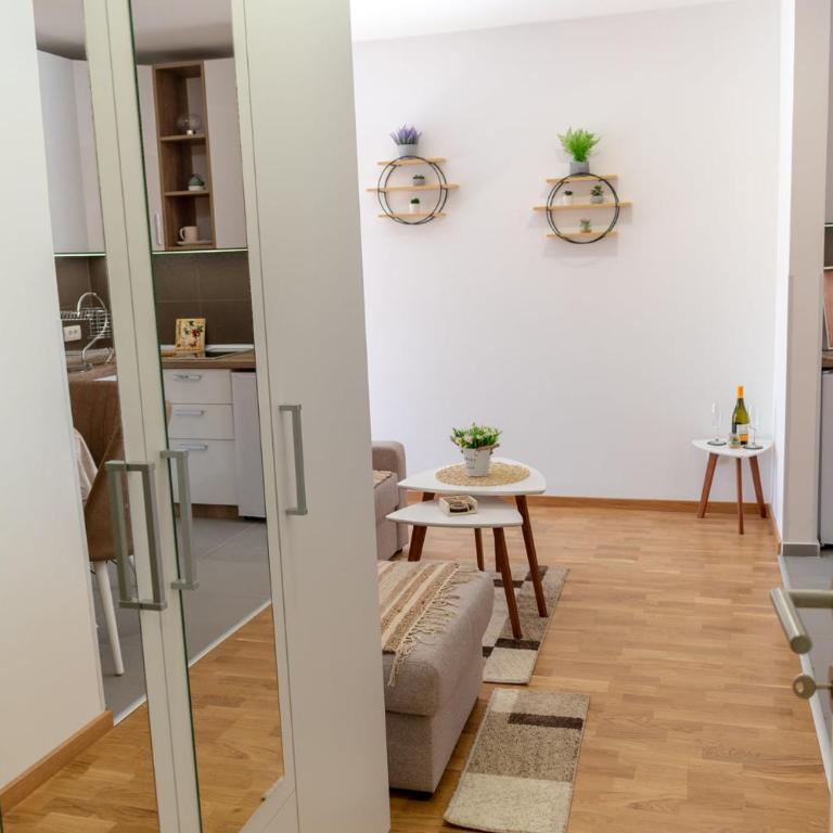 Trivić Apartmani - Studio Apartman s Balkonom - 9