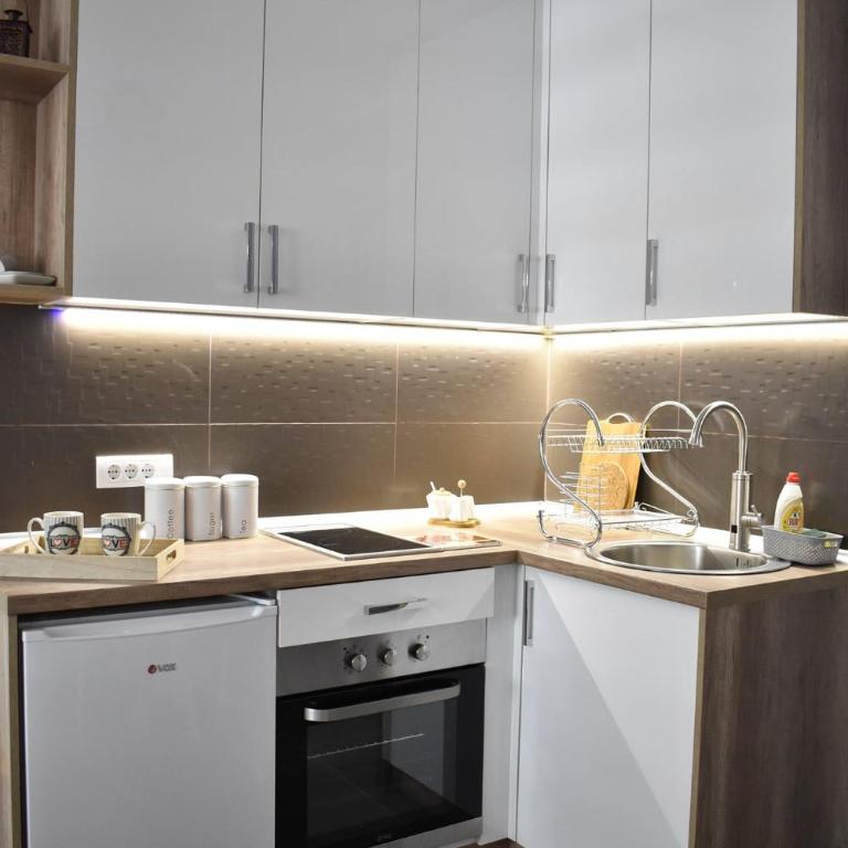 Trivić Apartmani - Studio Apartman s Balkonom - 13