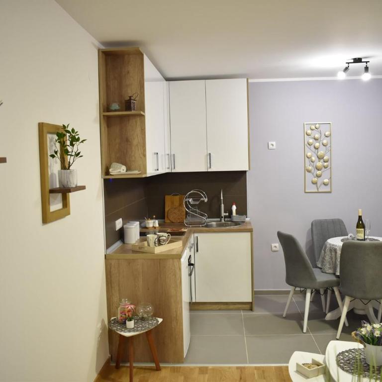 Trivić Apartmani - Studio Apartman s Balkonom - 14