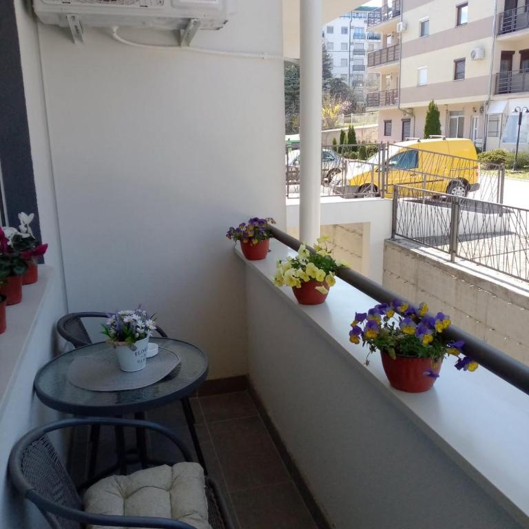 Trivić Apartmani - Studio Apartman s Balkonom - 12