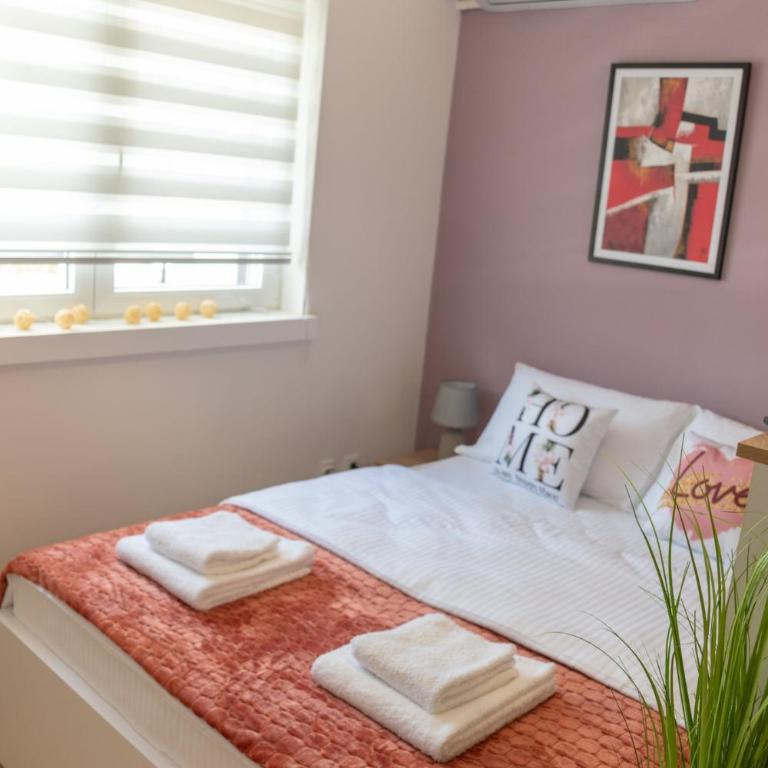 Trivić Apartmani - Studio Apartman s Balkonom - 8