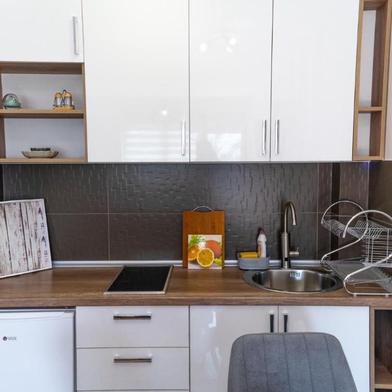 Trivić Apartmani - Studio Apartman s Balkonom - 11