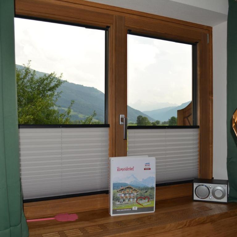 Ramseiderhof - Apartment mit 1 Schlafzimmer und Balkon - 4