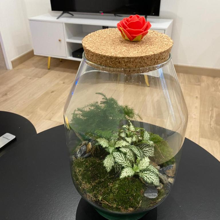 Trog'Love: Balnéo détente dans une troglodyte - Apartamento de 1 dormitorio - 22