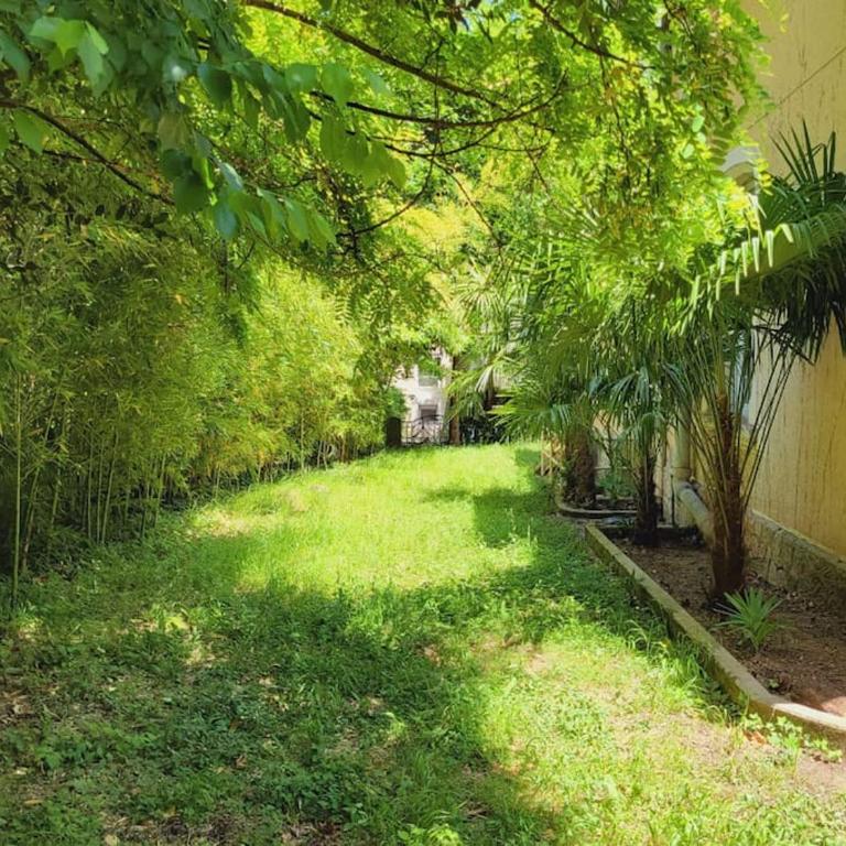Villa Benjamine - Parc Haut Languedoc - Villa - 35