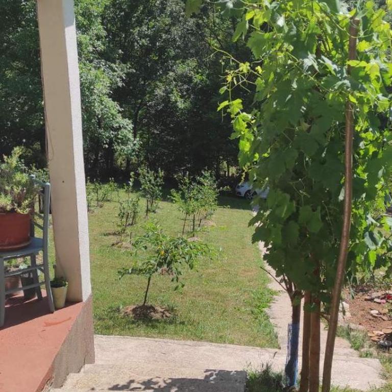 MontenegrinaBiH, Petrovici, Istocno Sarajevo - Kuća sa Dve Spavaće Sobe - 23