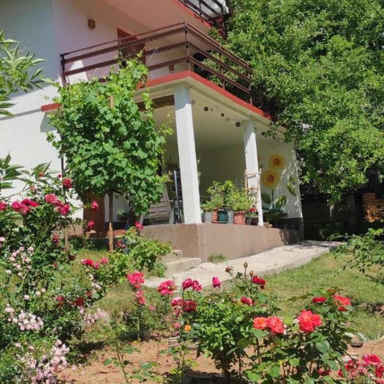 MontenegrinaBiH, Petrovici, Istocno Sarajevo - Kuća sa Dve Spavaće Sobe - 28