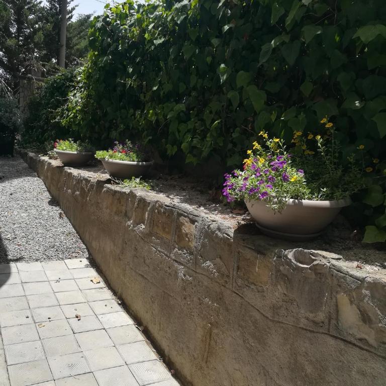 Villa Daniela - Quiete e mare - Appartamento con 1 Camera da Letto - 10