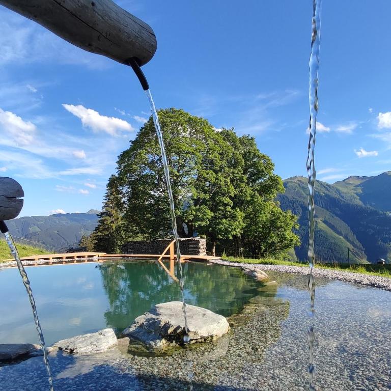 Sinnlehen Alm - Maison 5 Chambres - 4