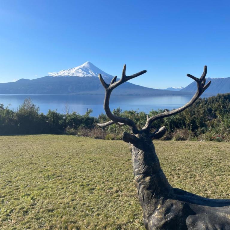 Casa EL CIERVO, Los Riscos, Puerto Varas - Habitación Doble con vistas al parque - 39