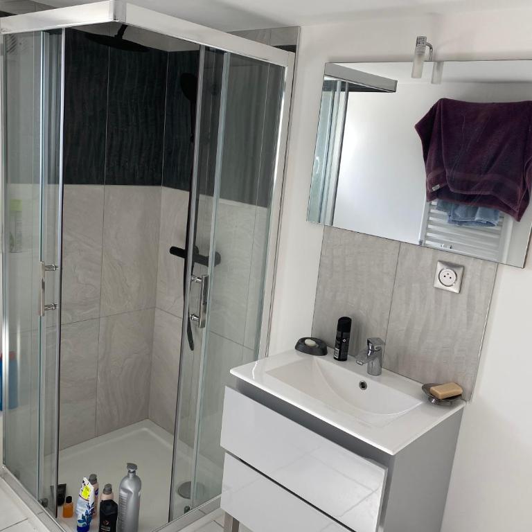 Bel appartement chez particulier calme et piscine - Appartement 1 Chambre - 6