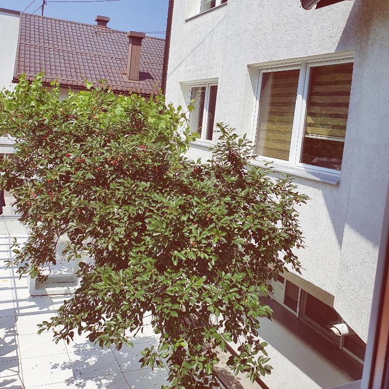 Apartments Arna - Apartman sa 2 Spavaće Sobe - 13