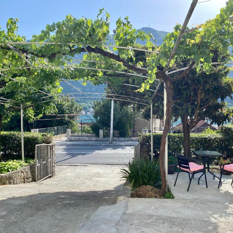 APARTMENTS NIK KOTOR - Apartment - Ground Floor - 5