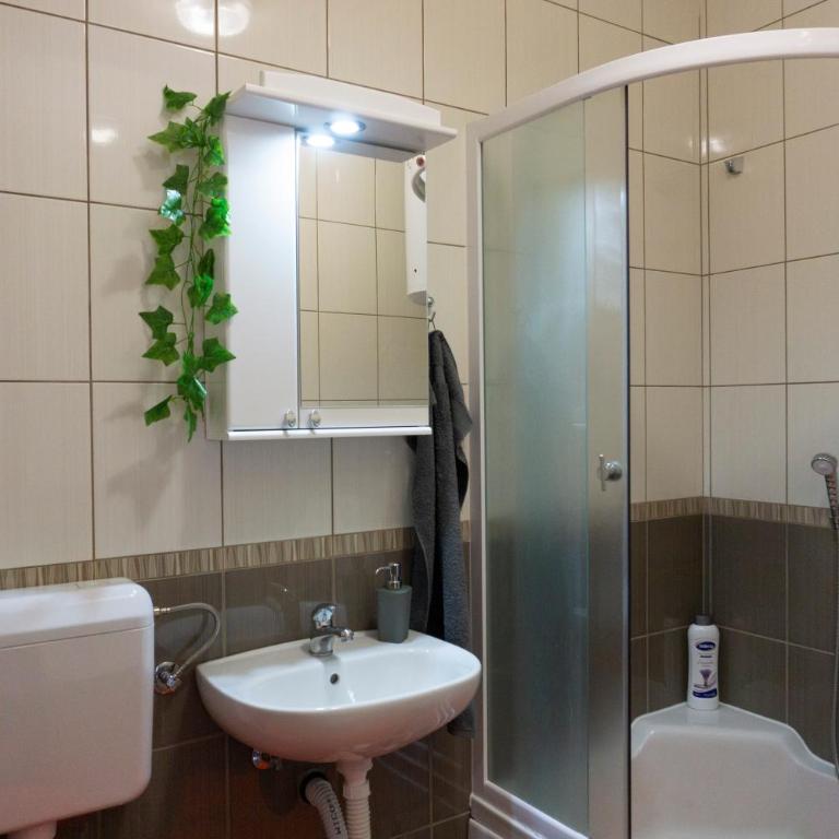 Apartman Emilija 2 - Apartman sa 1 Spavaćom Sobom - 21