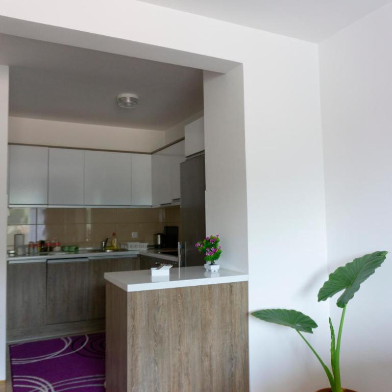 Apartman Emilija 2 - Apartman sa 1 Spavaćom Sobom - 6