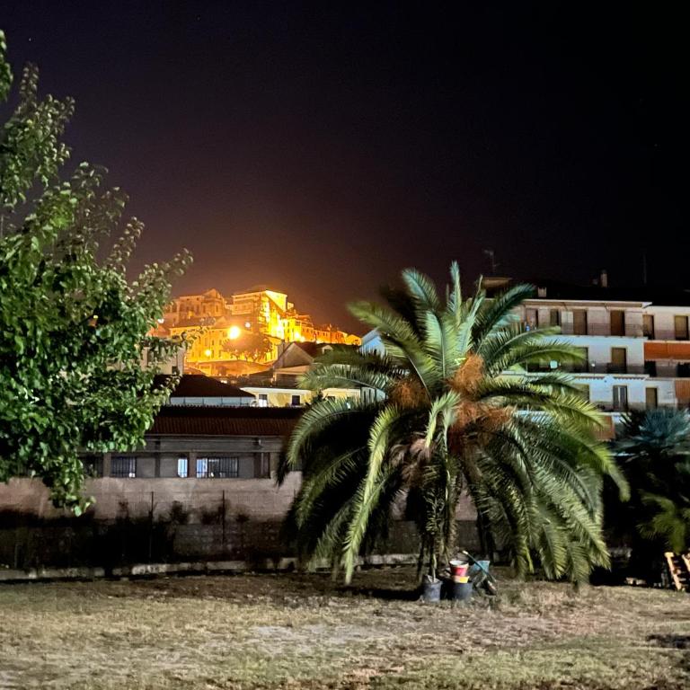 Il Gattino di Porto 1 - veranda piscina - Appartamento con 1 Camera da Letto - 27