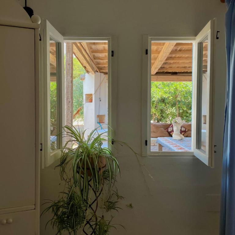 Casa Vacanze Capurre "Trulli e Pajare a due passi dal Pizzo" - Casa con 1 Camera da Letto - 21