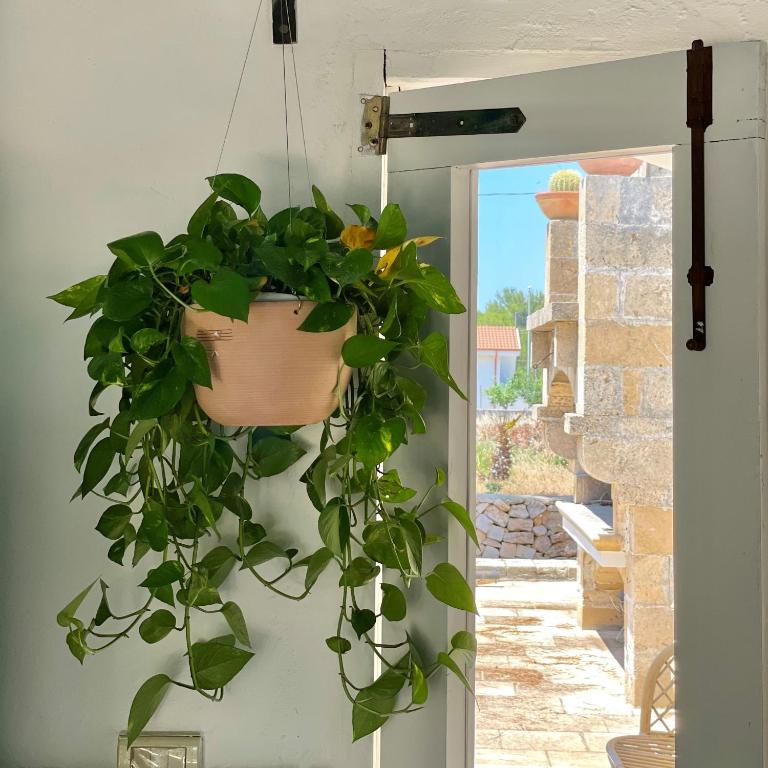 Casa Vacanze Capurre "Trulli e Pajare a due passi dal Pizzo" - Casa con 1 Camera da Letto - 16