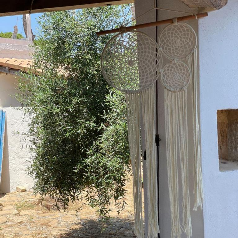 Casa Vacanze Capurre "Trulli e Pajare a due passi dal Pizzo" - Casa con 1 Camera da Letto - 59