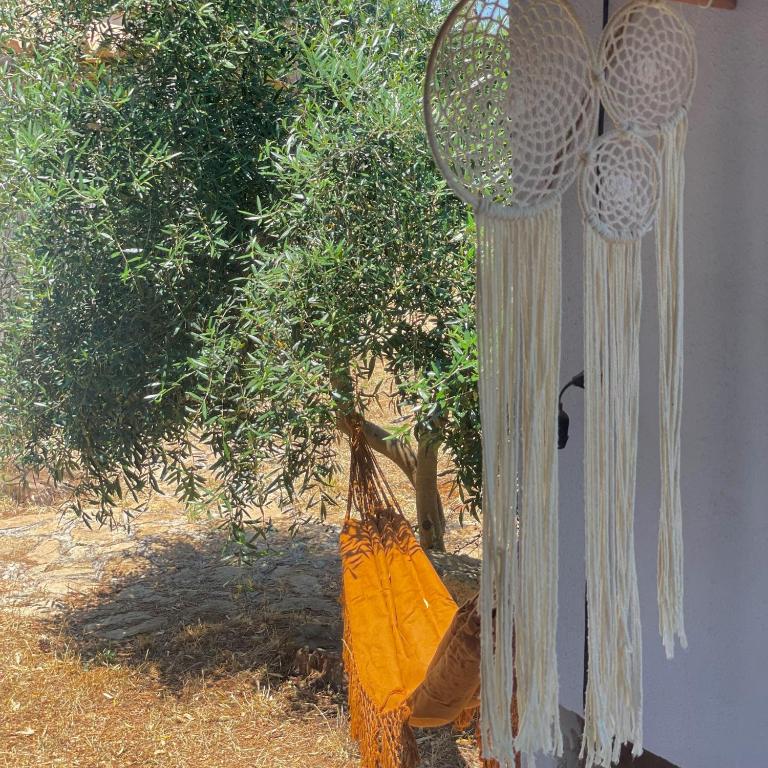 Casa Vacanze Capurre "Trulli e Pajare a due passi dal Pizzo" - Casa con 1 Camera da Letto - 60