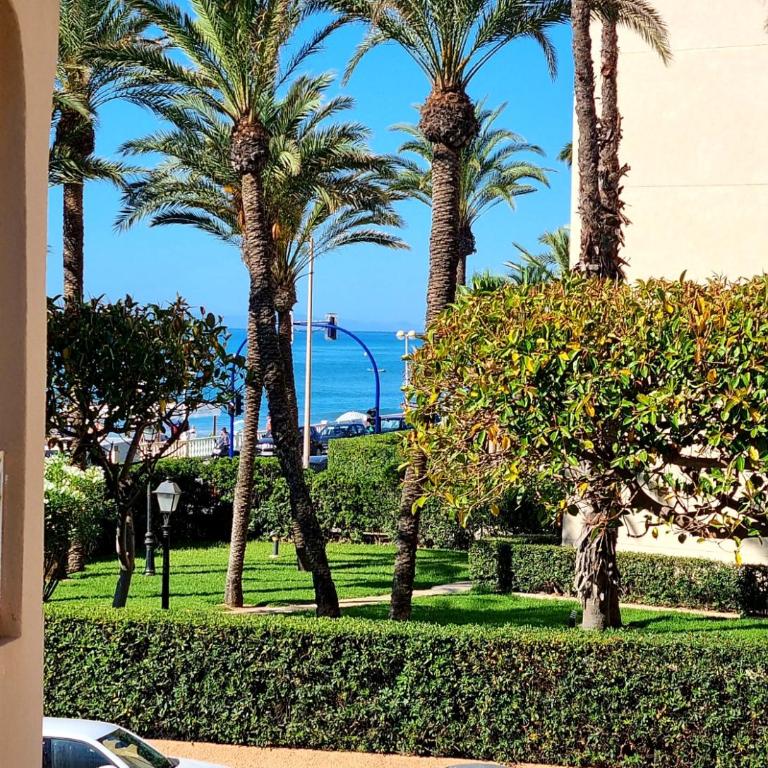 Apartament Torrevieja Playa Los Locos - Apartamento de 2 dormitorios - 10
