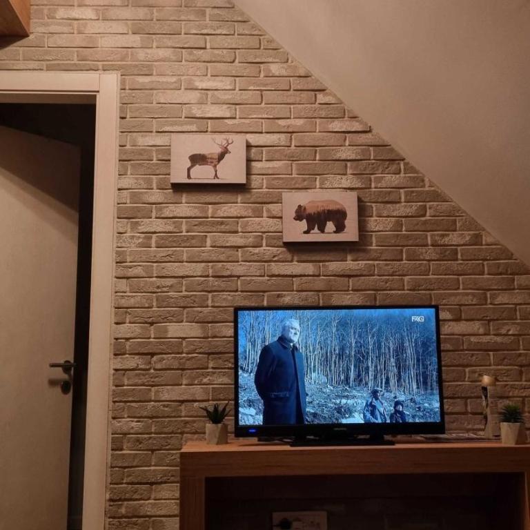 FEMI Kopaonik Apartment, Župa Aparthotel, Kopaonik Center - Apartman sa 1 Spavaćom Sobom - 3