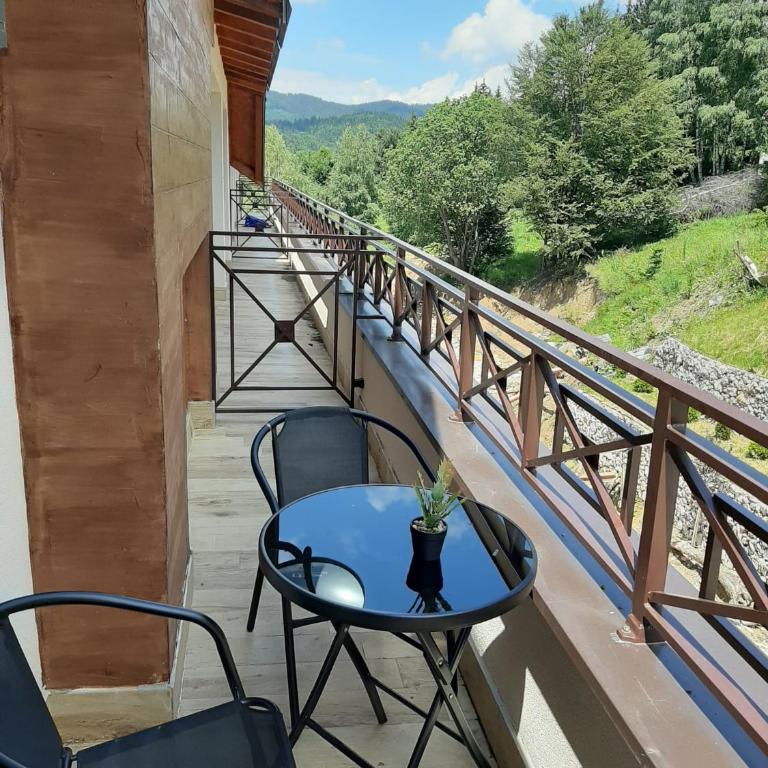 Milmari Apartman N92 Kopaonik - One-Bedroom Apartment - 28