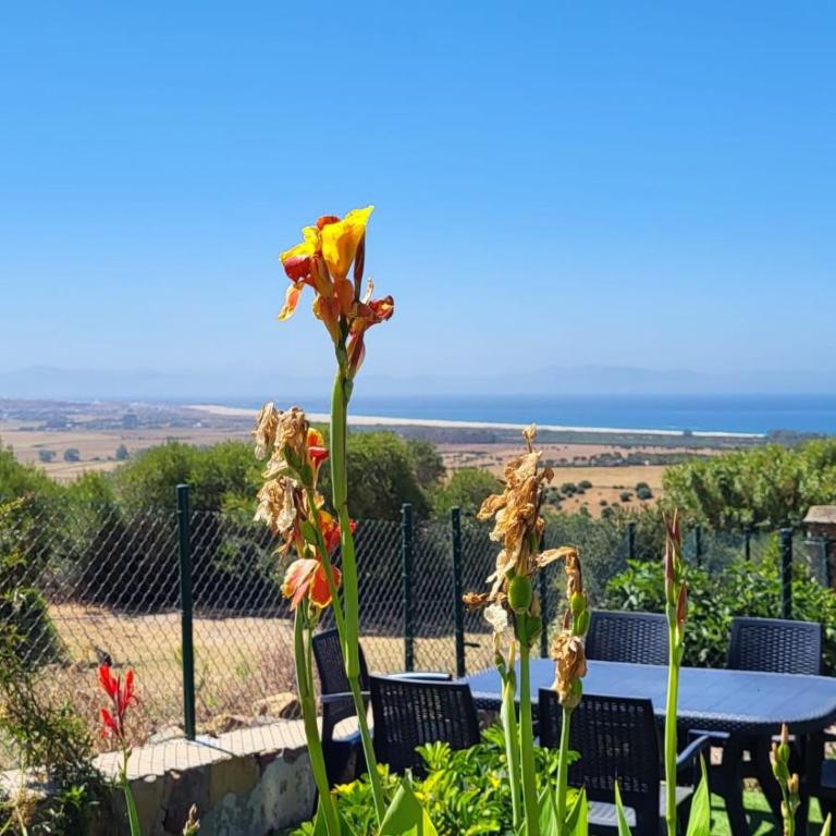 Rancho Blanco Tarifa La peña - Casa de 3 dormitorios - 3