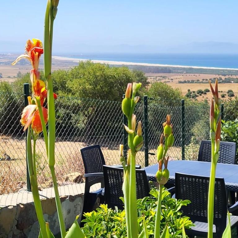 Rancho Blanco Tarifa La peña - Casa de 3 dormitorios - 10