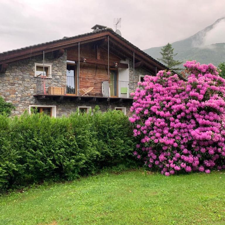 Casa Unica- da Bruno - Apartment mit Poolblick - 32