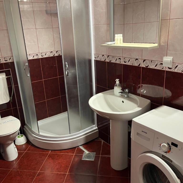 Apartments Vojvoda - One-Bedroom Apartment (2 Adults) with Sea View - 9