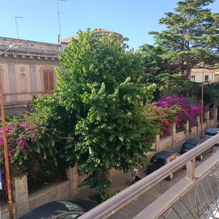 Appartamento Cavaliere Tropea - Appartamento - 2