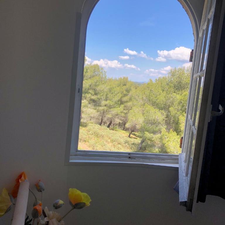 T3 avec grande terrasse et jardin sur les hauteurs de Martigues - Apartment mit 2 Schlafzimmern - 11