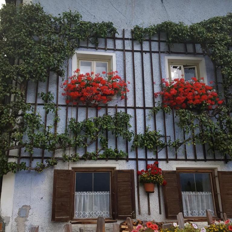Ferienwohnung Jörgenhof - Apartment mit 3 Schlafzimmern - 10
