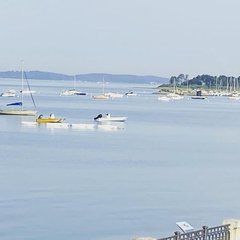 T2 Vue exceptionnelle sur le bassin d'Arcachon - Appartement 1 Chambre - 2