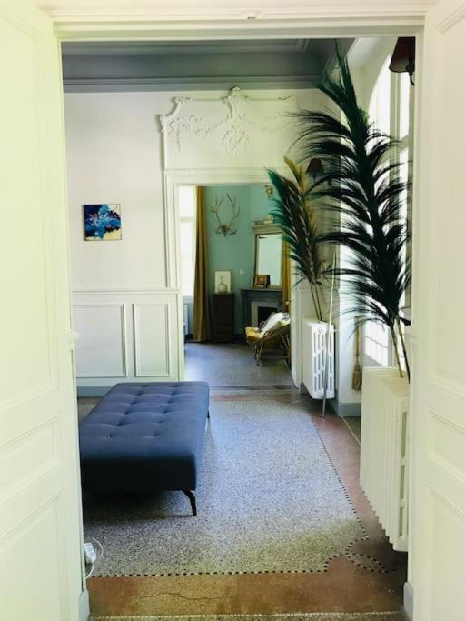 Villa Benjamine - Parc Haut Languedoc - Villa - 11