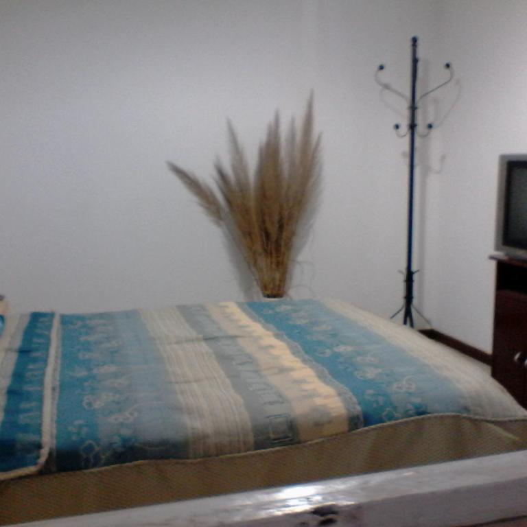 DEPARTAMENTO chascomus - Apartamento de 2 dormitorios - 4