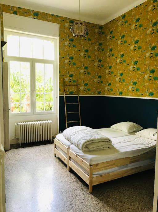 Villa Benjamine - Parc Haut Languedoc - Villa - 20