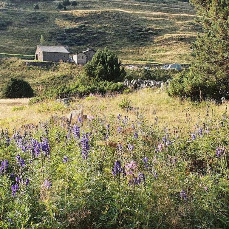 Acollidor estudi amb encant nòrdic i amb parquing, al costat de Grandvalira - Apartamento de 1 dormitorio - 34