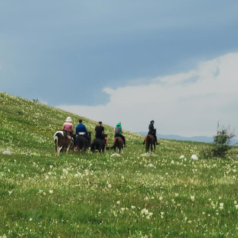 High Haven Durmitor - Two-Bedroom Chalet - 44