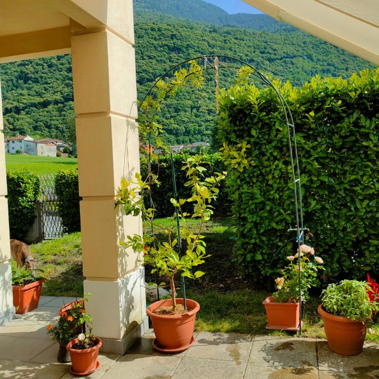 Villa Rosmarino 300 mt from the beach - Villa con 3 Camere da Letto - 13